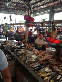 The Market in Coron where we bought our lunch